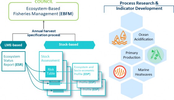 Ecosystem-Based Fisheries Management (EBFM)